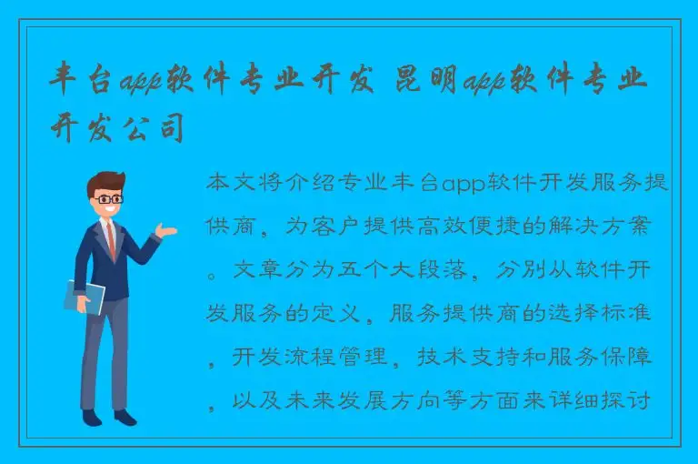 丰台app软件专业开发 昆明app软件专业开发公司