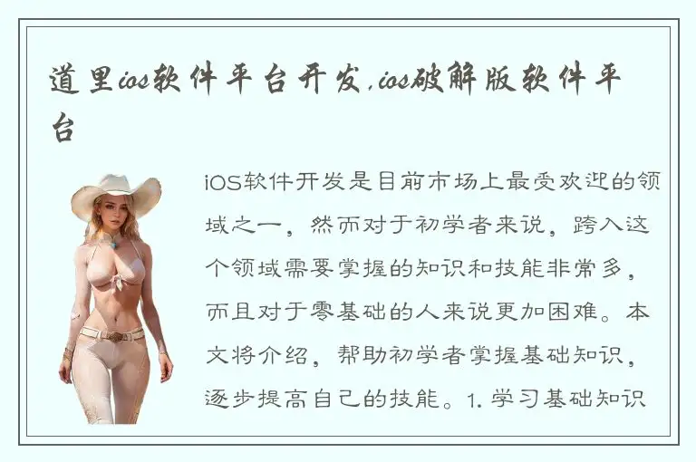 道里ios软件平台开发,ios破解版软件平台