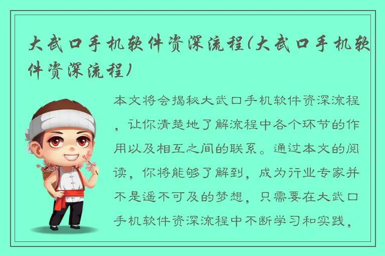 大武口手机软件资深流程(大武口手机软件资深流程)