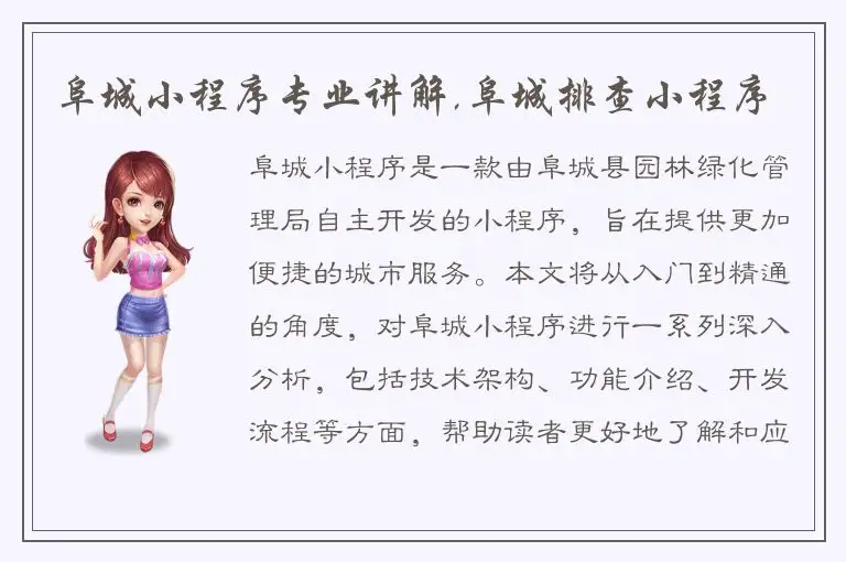 阜城小程序专业讲解,阜城排查小程序