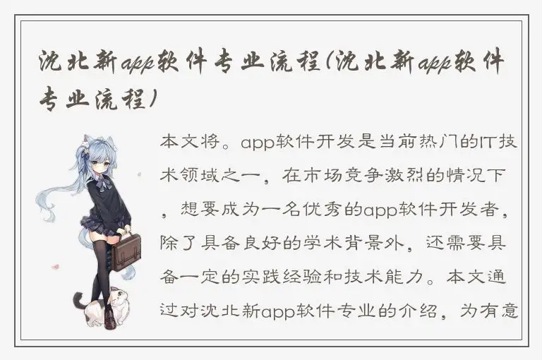 沈北新app软件专业流程(沈北新app软件专业流程)