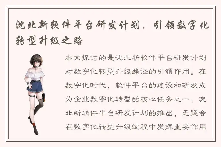 沈北新软件平台研发计划，引领数字化转型升级之路