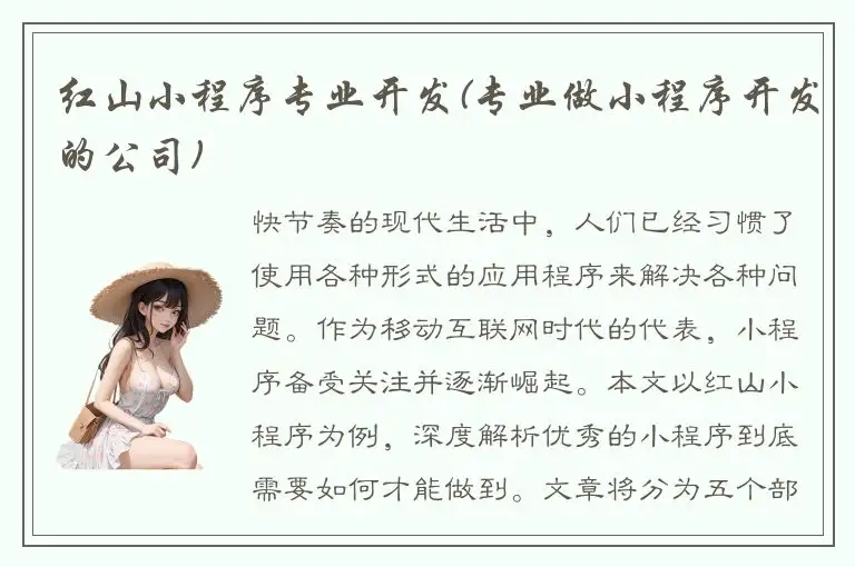 红山小程序专业开发(专业做小程序开发的公司)