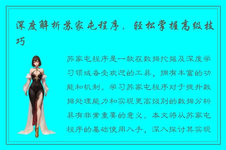 深度解析苏家屯程序，轻松掌握高级技巧