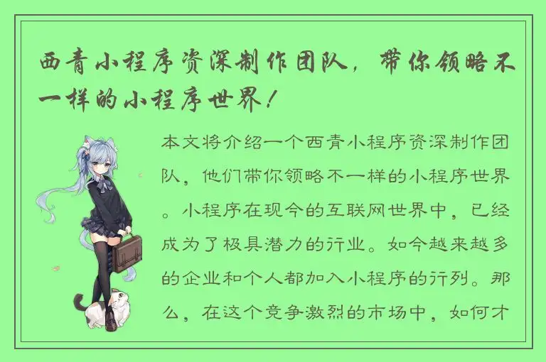 西青小程序资深制作团队，带你领略不一样的小程序世界！
