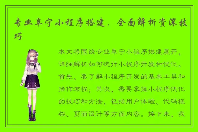专业阜宁小程序搭建，全面解析资深技巧