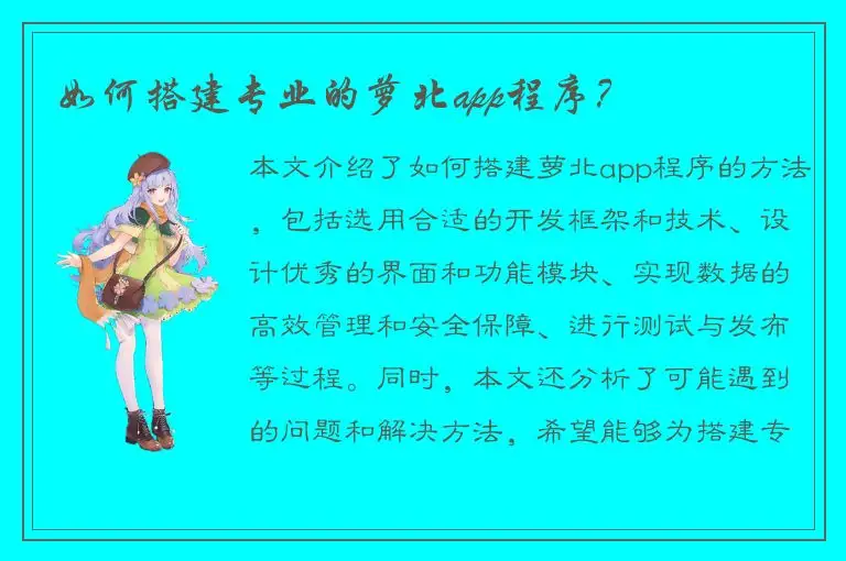 如何搭建专业的萝北app程序？