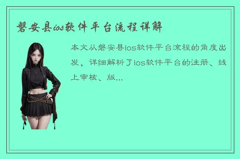 磐安县ios软件平台流程详解