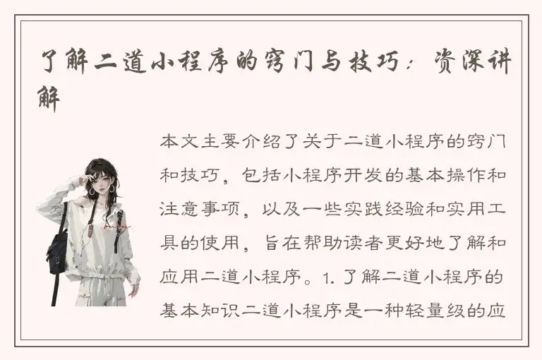 了解二道小程序的窍门与技巧：资深讲解