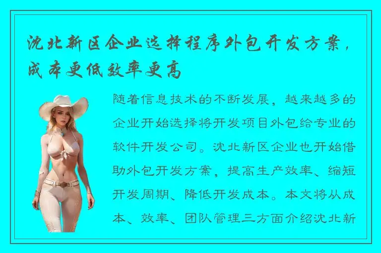 沈北新区企业选择程序外包开发方案，成本更低效率更高