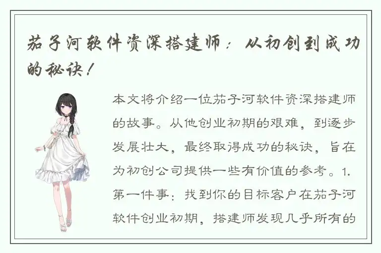 茄子河软件资深搭建师：从初创到成功的秘诀！