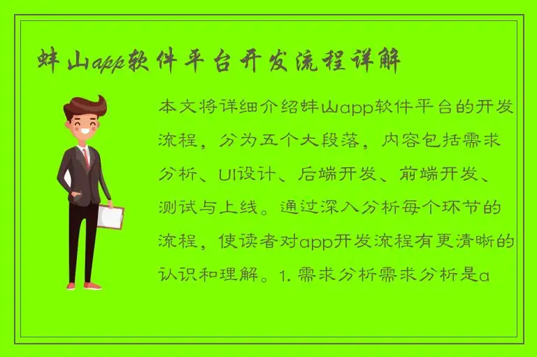 蚌山app软件平台开发流程详解