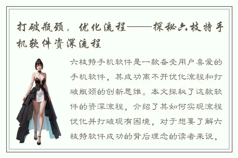 打破瓶颈，优化流程——探秘六枝特手机软件资深流程