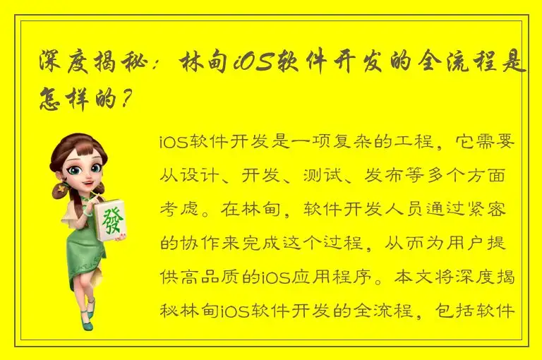 深度揭秘：林甸iOS软件开发的全流程是怎样的？