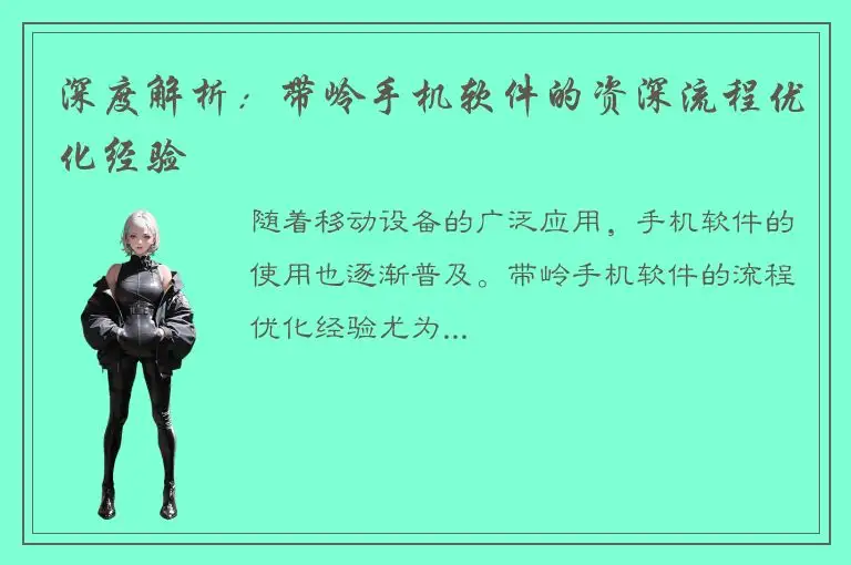 深度解析：带岭手机软件的资深流程优化经验