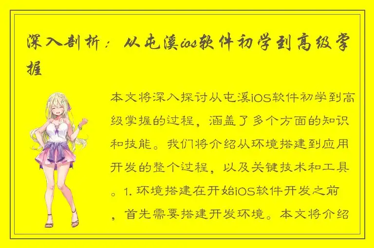 深入剖析：从屯溪ios软件初学到高级掌握