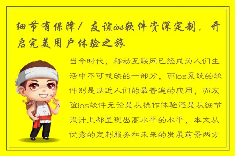细节有保障！友谊ios软件资深定制，开启完美用户体验之旅