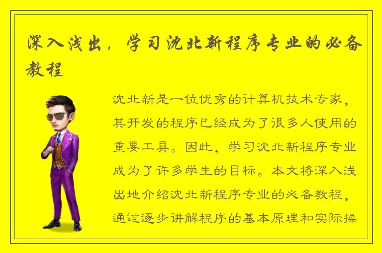 深入浅出，学习沈北新程序专业的必备教程