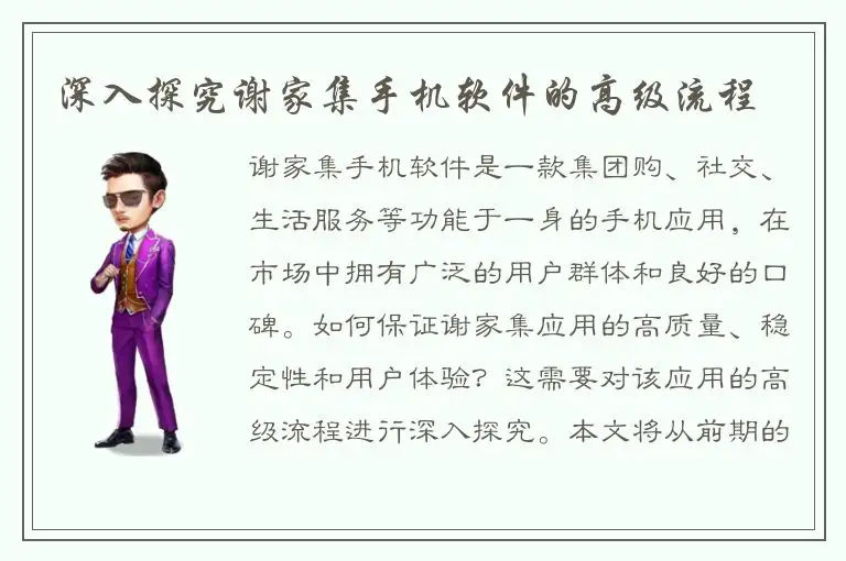 深入探究谢家集手机软件的高级流程