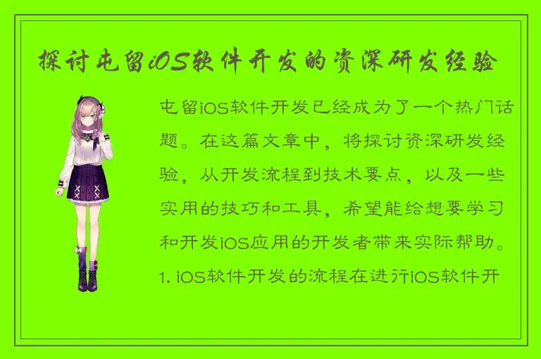 探讨屯留iOS软件开发的资深研发经验