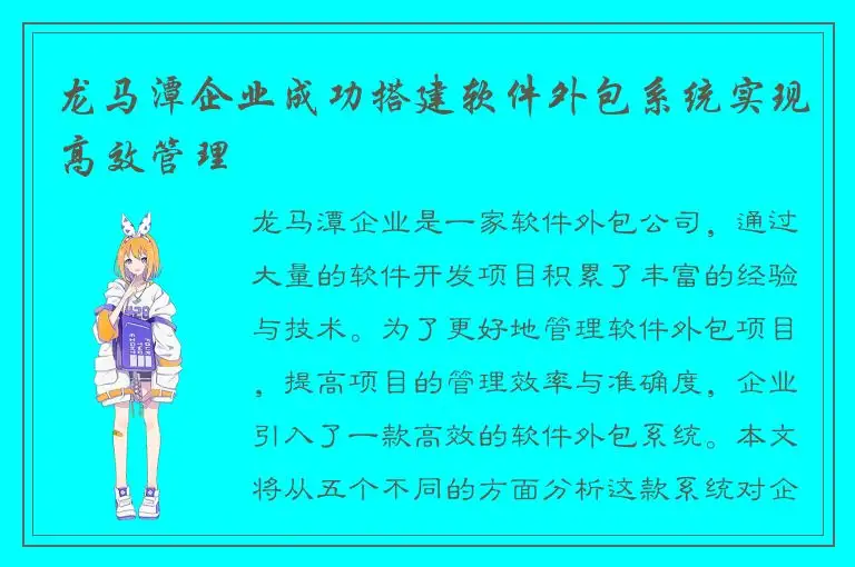 龙马潭企业成功搭建软件外包系统实现高效管理
