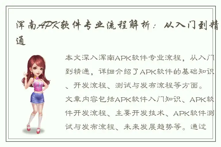 浑南APK软件专业流程解析：从入门到精通