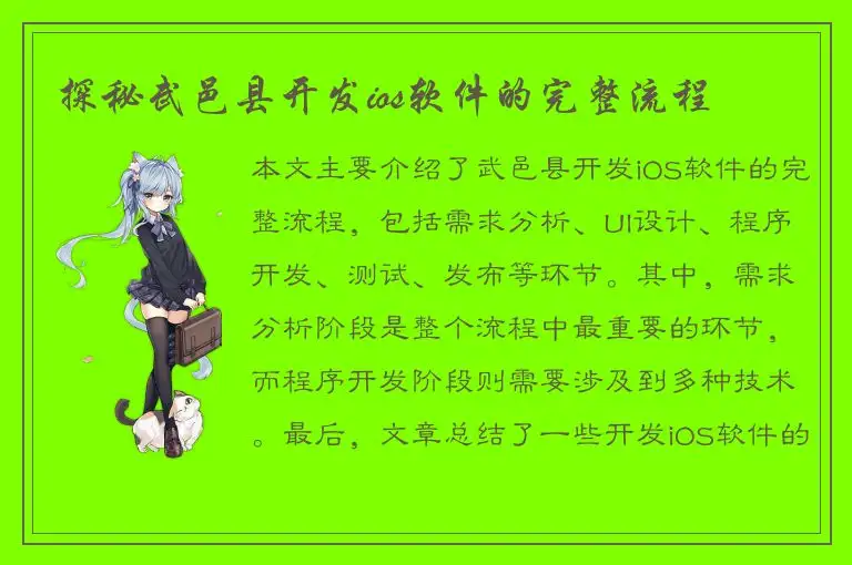探秘武邑县开发ios软件的完整流程