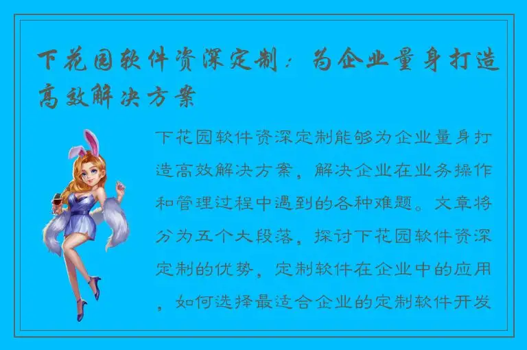 下花园软件资深定制：为企业量身打造高效解决方案