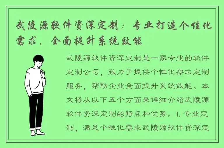 武陵源软件资深定制：专业打造个性化需求，全面提升系统效能