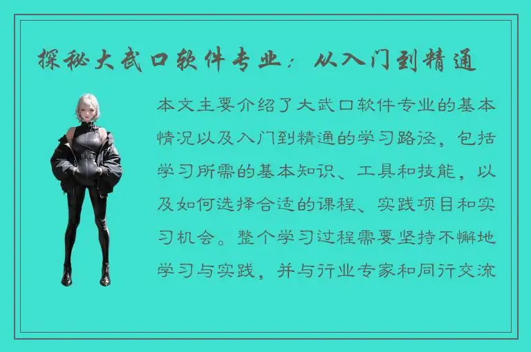 探秘大武口软件专业：从入门到精通