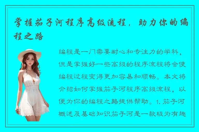 掌握茄子河程序高级流程，助力你的编程之路