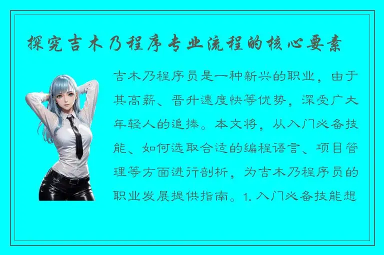 探究吉木乃程序专业流程的核心要素