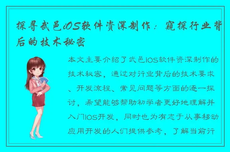探寻武邑iOS软件资深制作：窥探行业背后的技术秘密