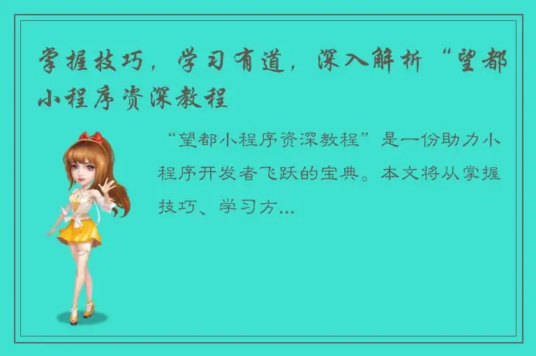 掌握技巧，学习有道，深入解析“望都小程序资深教程