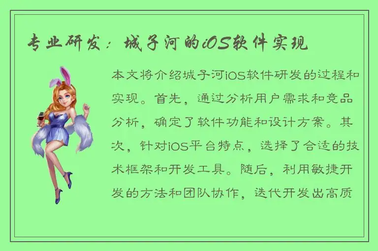 专业研发：城子河的iOS软件实现