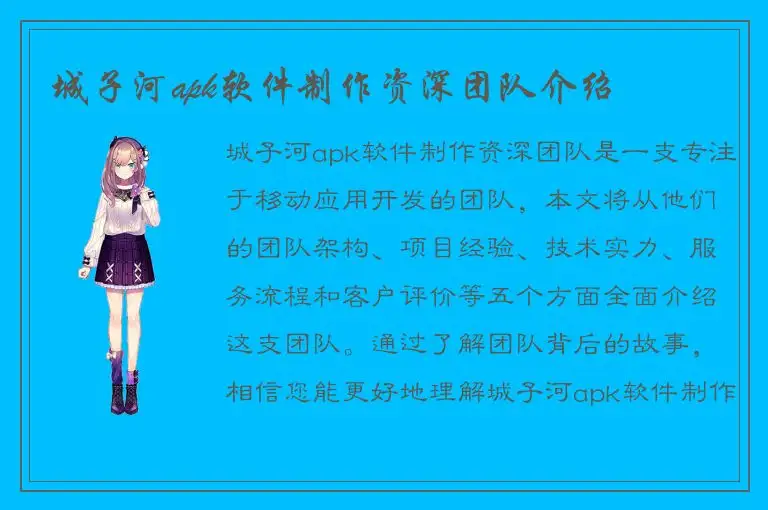 城子河apk软件制作资深团队介绍