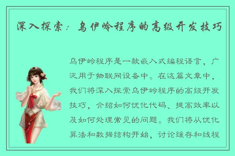 深入探索：乌伊岭程序的高级开发技巧