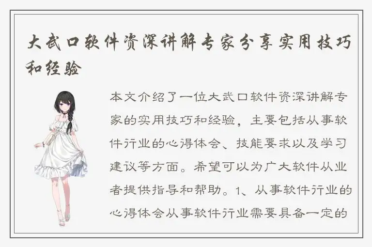 大武口软件资深讲解专家分享实用技巧和经验
