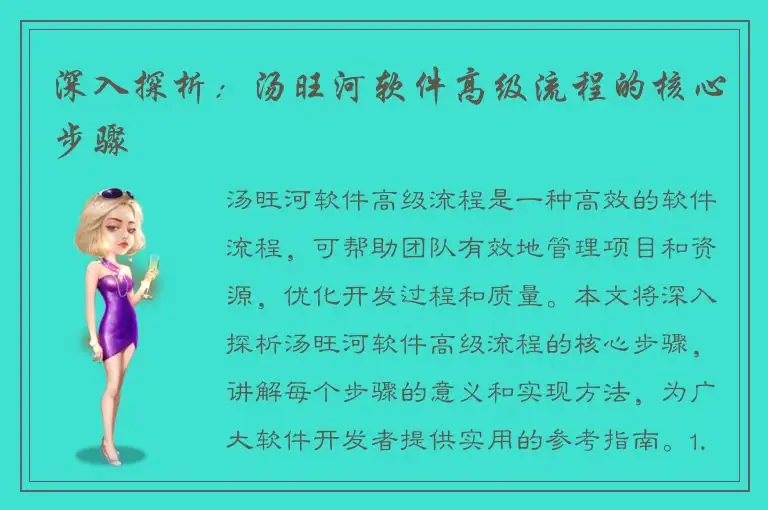 深入探析：汤旺河软件高级流程的核心步骤