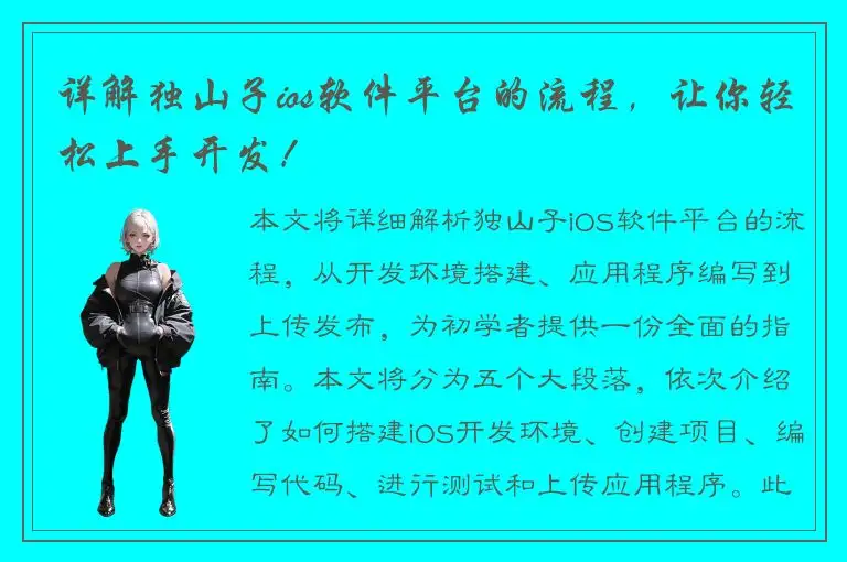 详解独山子ios软件平台的流程，让你轻松上手开发！