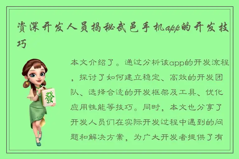 资深开发人员揭秘武邑手机app的开发技巧