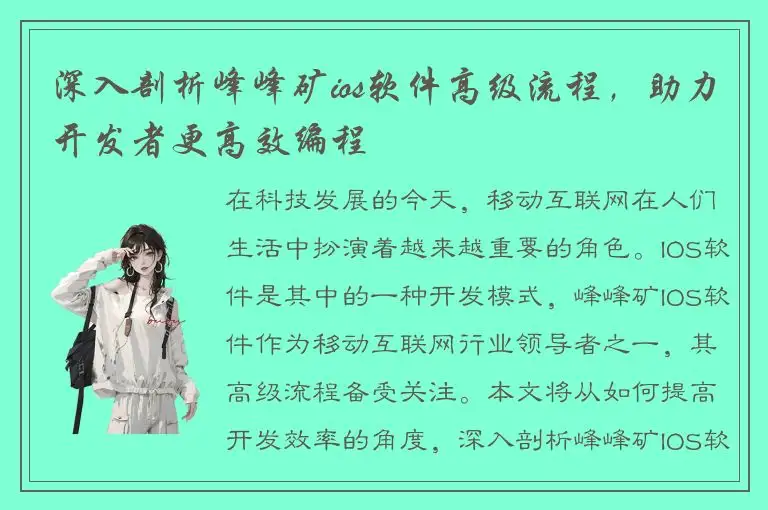 深入剖析峰峰矿ios软件高级流程，助力开发者更高效编程