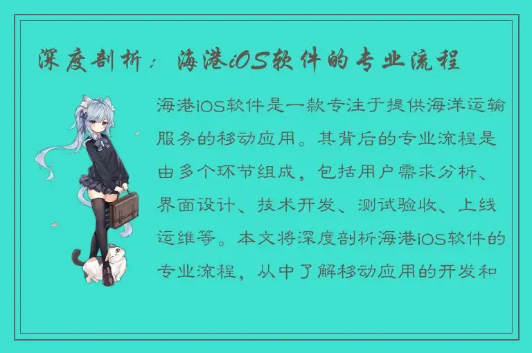深度剖析：海港iOS软件的专业流程