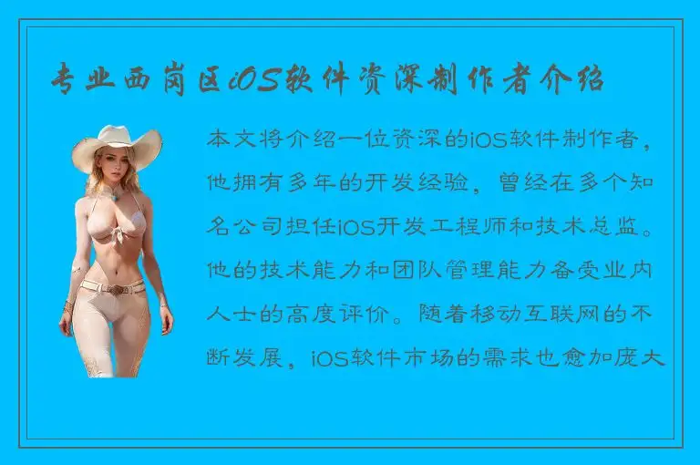 专业西岗区iOS软件资深制作者介绍