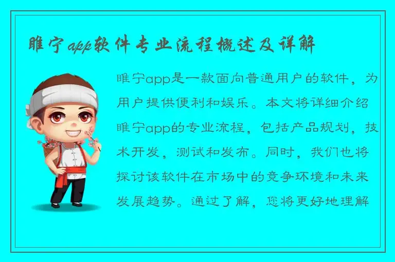 睢宁app软件专业流程概述及详解