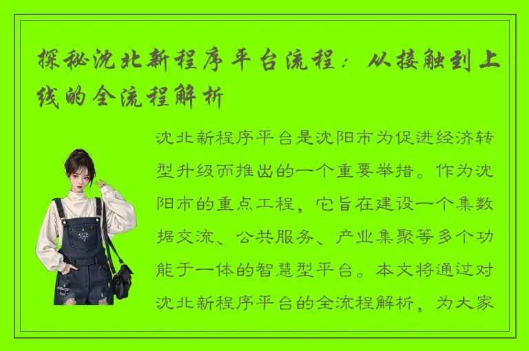 探秘沈北新程序平台流程：从接触到上线的全流程解析
