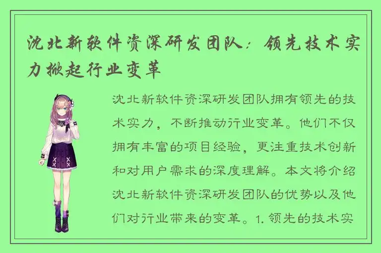沈北新软件资深研发团队：领先技术实力掀起行业变革