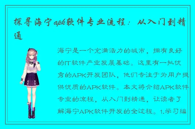 探寻海宁apk软件专业流程：从入门到精通