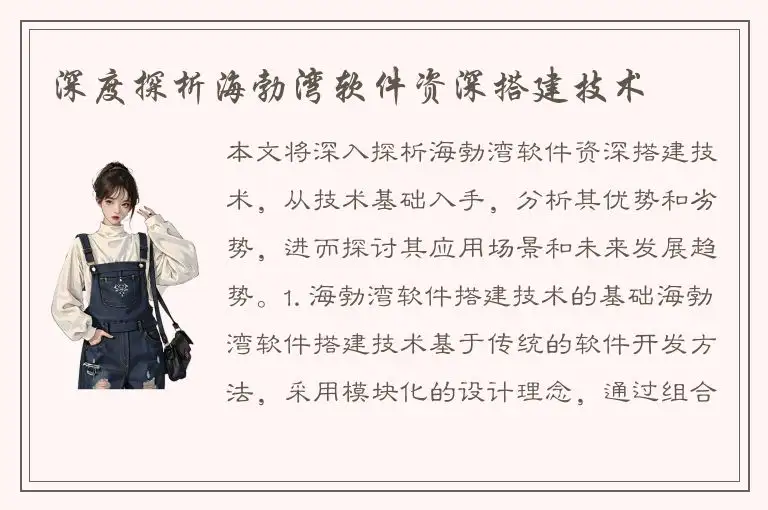 深度探析海勃湾软件资深搭建技术