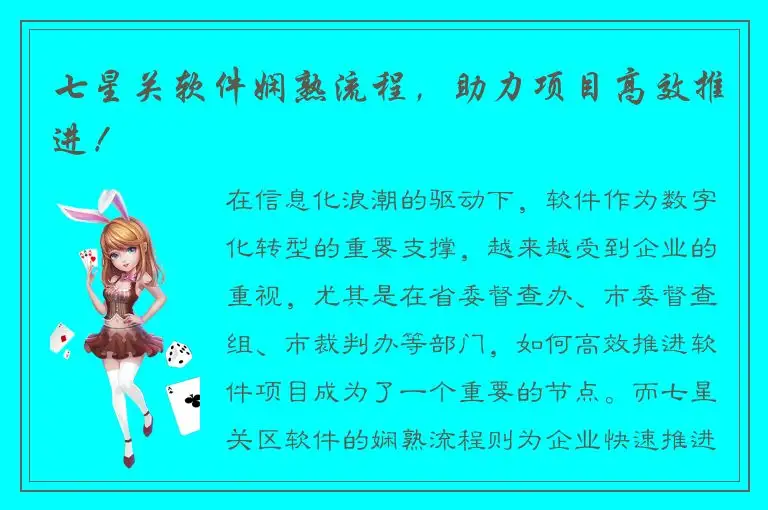 七星关软件娴熟流程，助力项目高效推进！